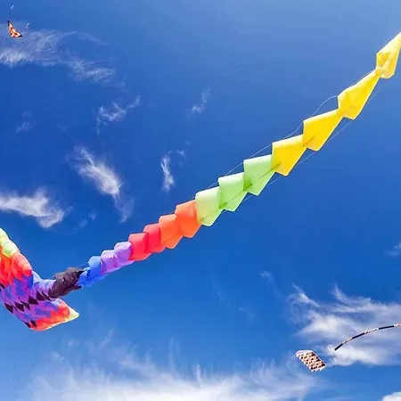 In Near The レバル