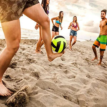 In Near The レバル